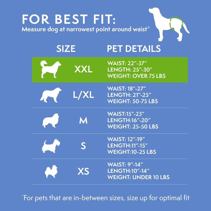 Simple Solution Disposable Female Dog Diapers, Absorbent Leak Proof Protection for Incontinence, Puppy Training, Heat Cycle, Travel, and Housebreaking, XXL Dogs, 22â€“37 Inch Waist, 12 Count - Image 4